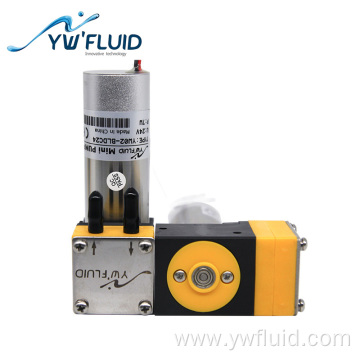 Micro double-head BLDC brushless air water diaphragm pump